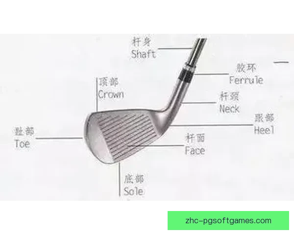 高尔夫初学者完整指南